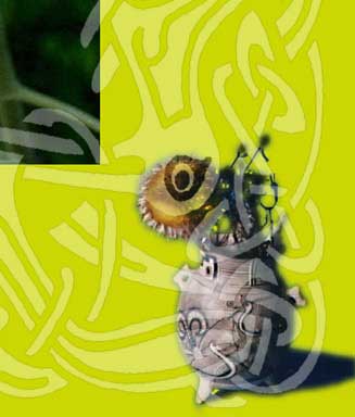 Sun/ Schattenspiel Tarot Series